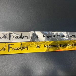 Great Freedom 長崎 福山雅治 ライブ 金銀テープ