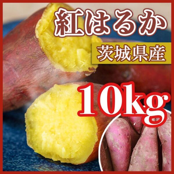 新物 農家直送 10kg さつまいも 紅はるか 茨城県産 訳あり品 ねっとり甘い