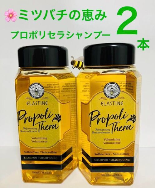 2本 EL プロポリセラ VLM シャンプー 500ml 根もとからハリを与えて美しい髪へ ミツバチの恵み AVON FMG