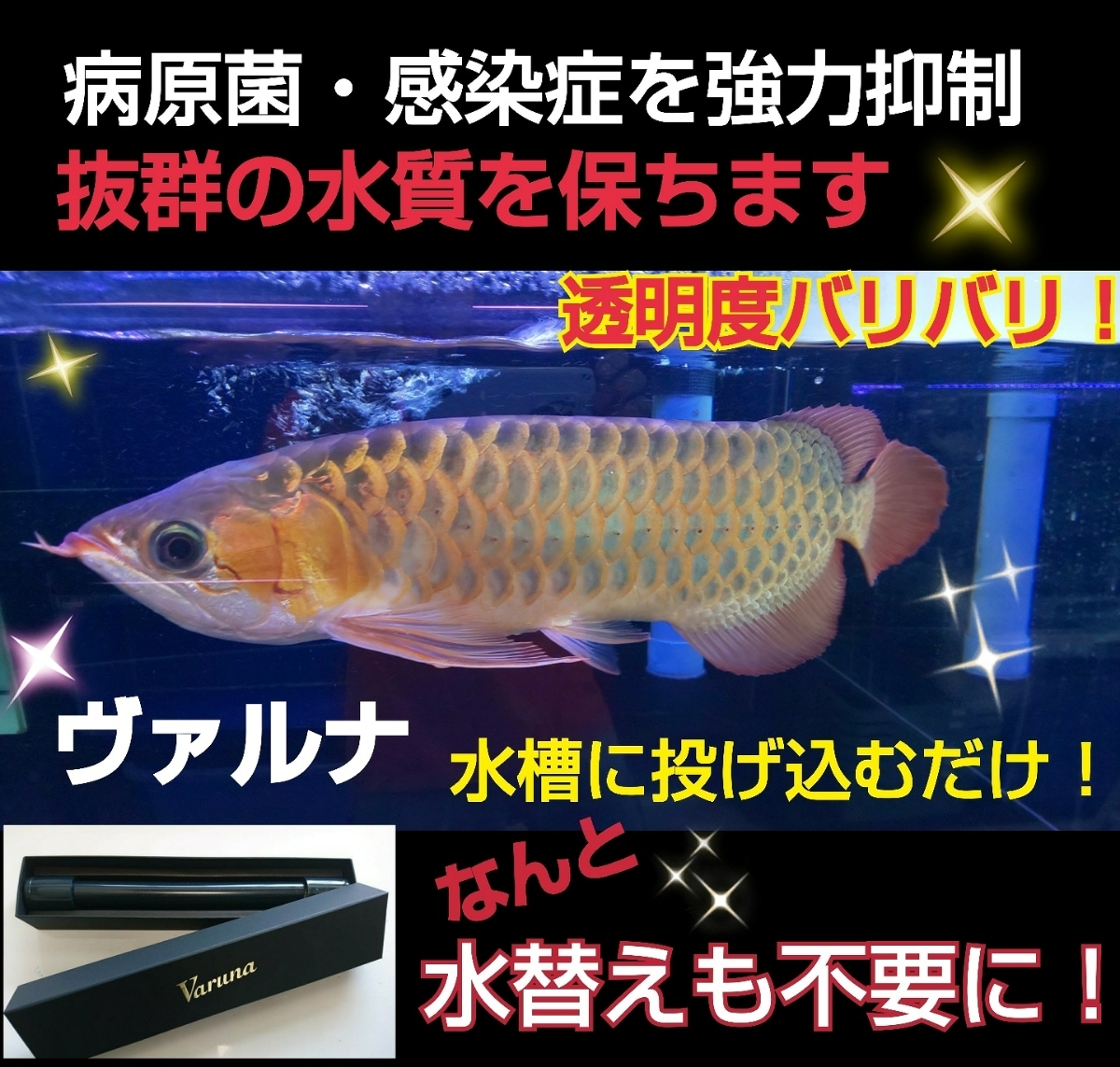 ヴァルナミニMサイズ 15cm 水替えなしの水質改善 500Lの水槽までOK ...