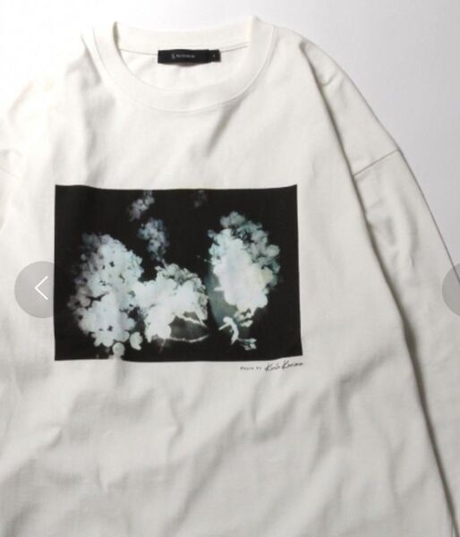 RAGEBLUE レイジブルー グラフィックレイジブルプリントロングTシャツ L アート
