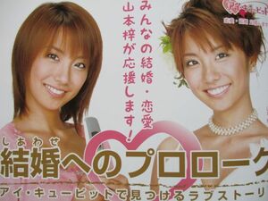 切り抜き★山本梓★フラッシュ／2006年6月27日