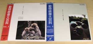 LD(レーザー)◆動物映像大百科 VOL.3&6◎2枚まとめてセット◆帯付美品！