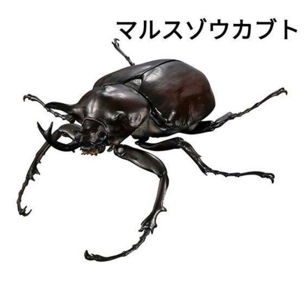 いきもの大図鑑アドバンス ゾウカブトとヘラクレスオオカブト ガチャガチャ マルスゾウカブト フィギュア カプセルトイ バンダイ