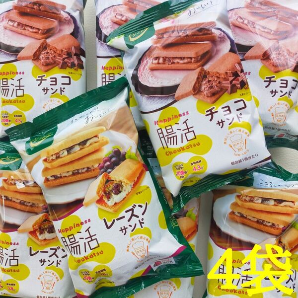 からだシフト 腸活レーズン&チョコサンド 3枚入×4袋セット=12枚 個包装 健康食品 美容