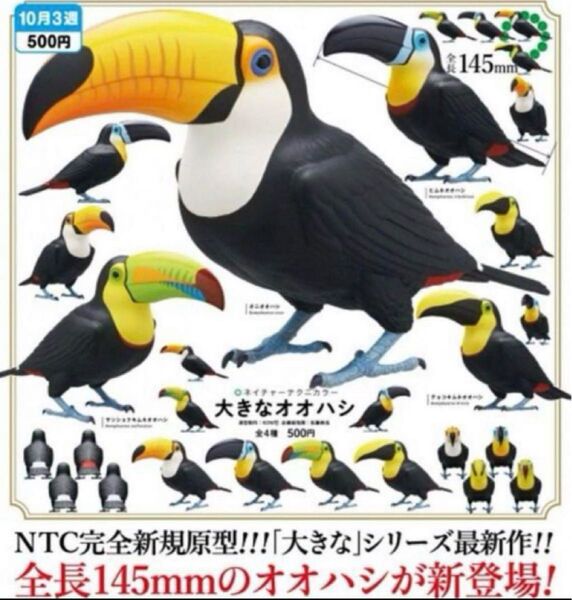 NTC ネイチャーテクニカラー 大きなオオハシ 全4種セット いきもん
