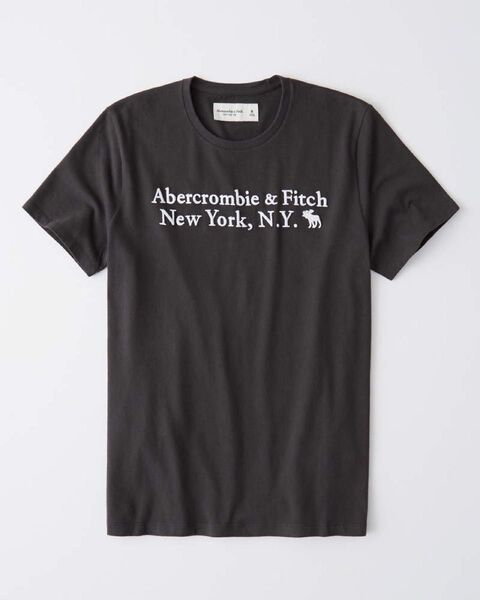 新品 正規品 アバクロンビー&フィッチ 半袖刺繍ロゴTシャツ B