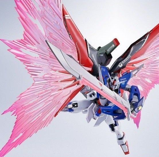 新品 METAL ROBOT魂 デスティニーガンダムSpecII専用 光の翼&エフェクトセット メタルロボット