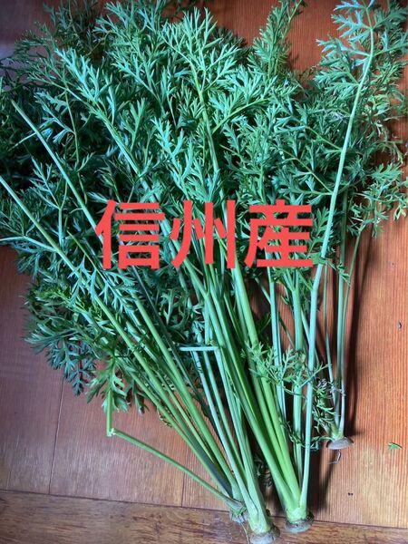 長野県産 にんじんの葉っぱ 人参 無農薬