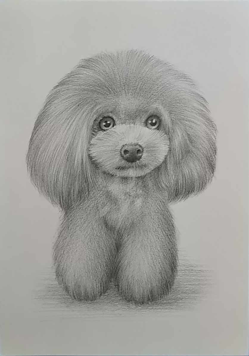 Painting/pencil drawing of a cute pet dog. True work Toy Poodle UME-27 by Yuji Kurita. A4 size. *Frame not included., artwork, painting, pencil drawing, charcoal drawing