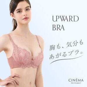 モンシェルピジョン Mon cher pigeon Upward Bra ワイヤー入り 脇高ブラジャー 補正下着 背中すっきりブラ
