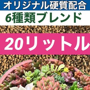多肉植物の土20リットル アガベ塊根エケベリアサボテンの土