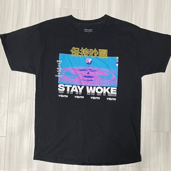 チャンピオンchampion半袖TシャツサイズL身幅約51、着丈約69。ユーズド品洗濯済です。 価格相談歓迎します。