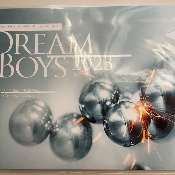 DREAM BOYS 2023 パンフレット