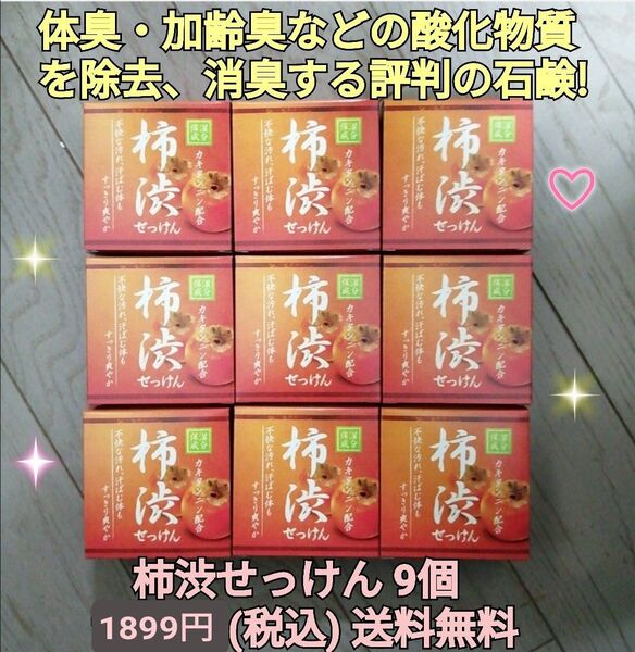 柿渋せっけん9個 (ボディソープ デオドラントソープ 体臭 加齢臭 ワキガ 足の臭い除去消臭)