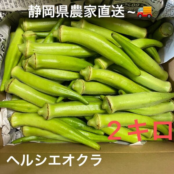 朝採れ ヘルシエオクラ 農家直送