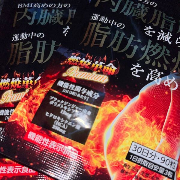 燃焼革命Premium 内臓脂肪を減らす 脂肪燃焼を高める ダイエット ブラックジンジャー HCA サプリメント 30日分×2袋