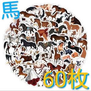 馬 ステッカー【60枚】競馬 ホース 牝馬 ダービー シール 乗馬 白馬 ロバ