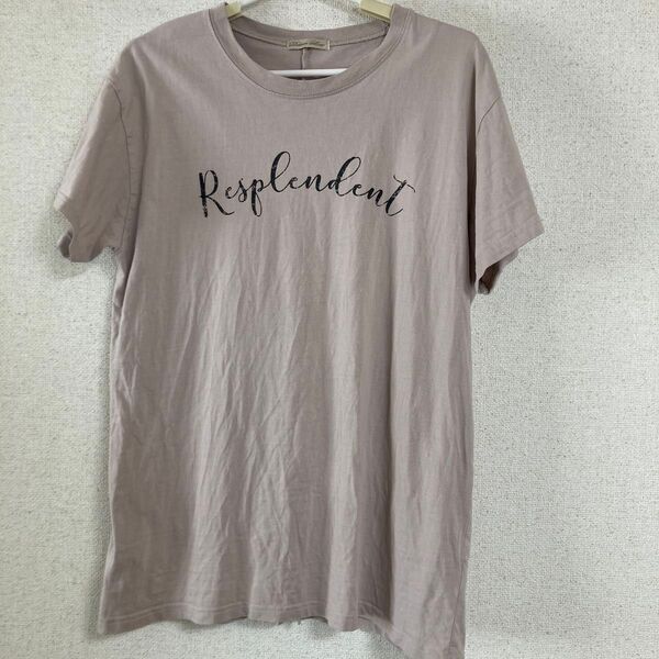 Datum Line Tシャツ 薄いピンクベージュ系・Mサイズですが大きめ
