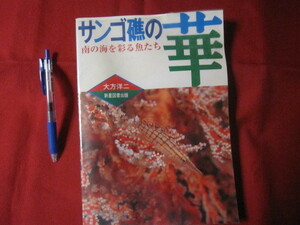 ☆サンゴ礁の華　南の海を彩る魚たち　【沖縄・琉球・自然・生物・動物・魚類】