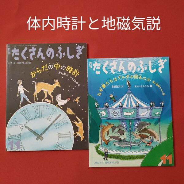 たくさんのふしぎ からだの中の時計 なぜ君たちはグルグル回るのか 福音館書店