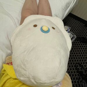 ぬいぐるみ