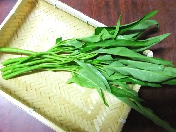 468.6.4◆かんたん栽培 葉物野菜 パリパリ菜 クウシンサイ エンサイ 5苗 空芯菜◆トライ 家庭菜園 プランター◆無農薬 無化学肥料 自然菜園