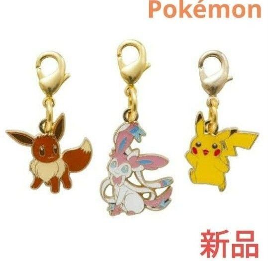 ポケモン メタルチャーム