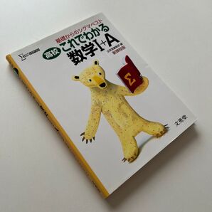 これでわかる数学1+A