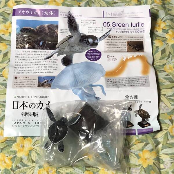 送料無 アオウミガメ(幼体) 日本のカメ 特装版 ガチャ/ネイチャーテクニカラー/亀/