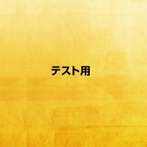 テスト出品です20241010-002a