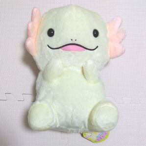 ウーパーのるるんぱ うぱすけ ぬいぐるみ ウーパールーパー