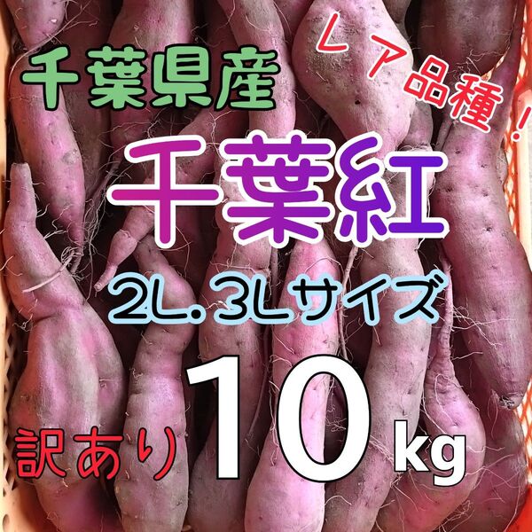 さつまいも レア品種!千葉紅(ちばべに) 10kg 訳あり