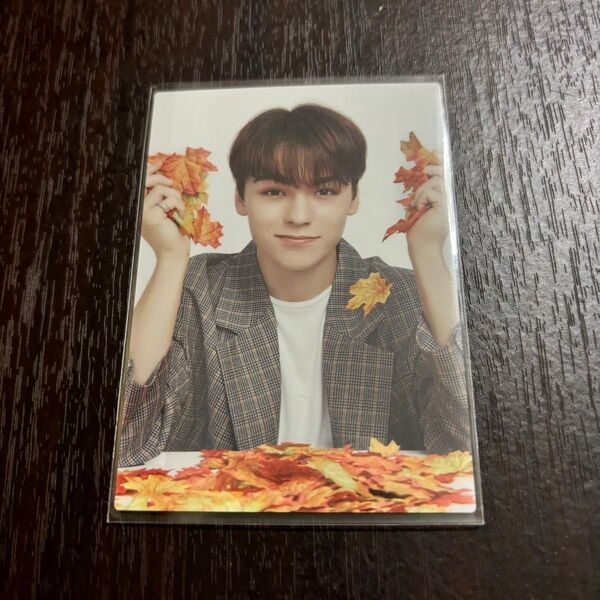 VERNON トレカ Ode to You SEVENTEEN セブチ バーノン
