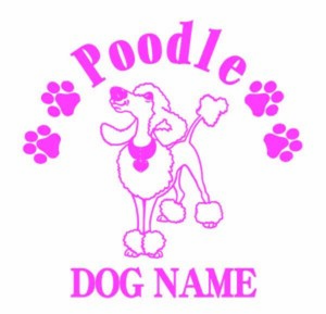  poodle. sticker.. width . approximately 180mm!!