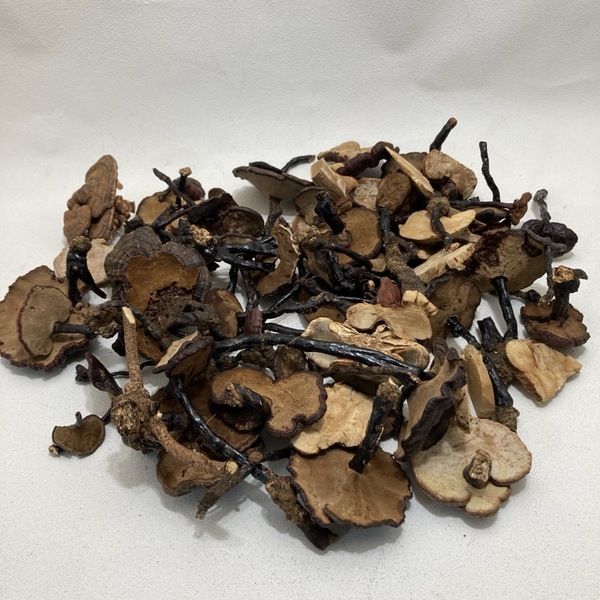 霊芝 さるのこしかけ 猿の腰掛け サルノコシカケ 漢方 煎茶飾り 煎茶道具 置物 貴重 鑑賞 インテリア 珍品 846g★K2767Z