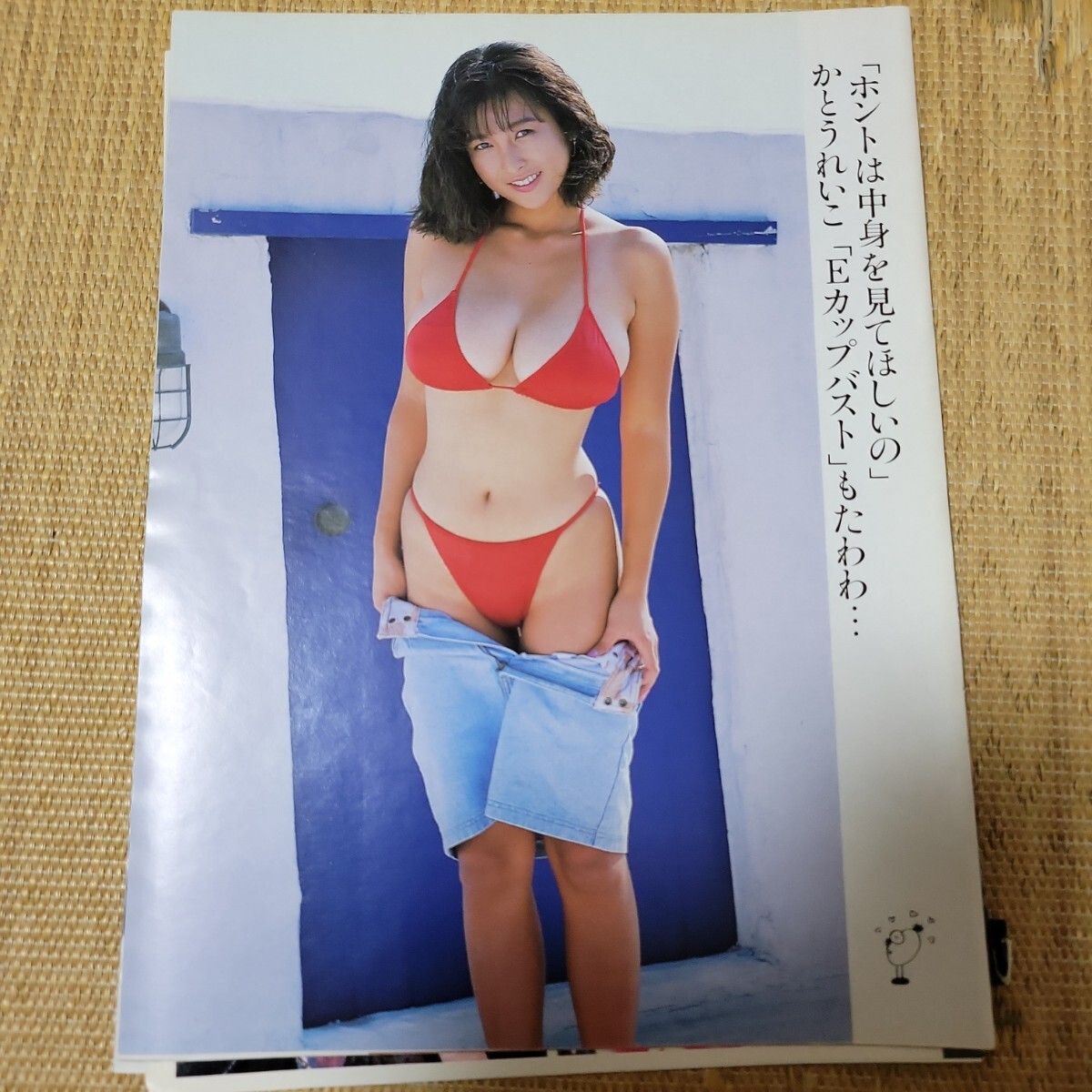 2025年最新】Yahoo!オークション -かとうれいこ水着(タレント 2025年最新】Yahoo!オークション -かとうれいこ水着(タレント
