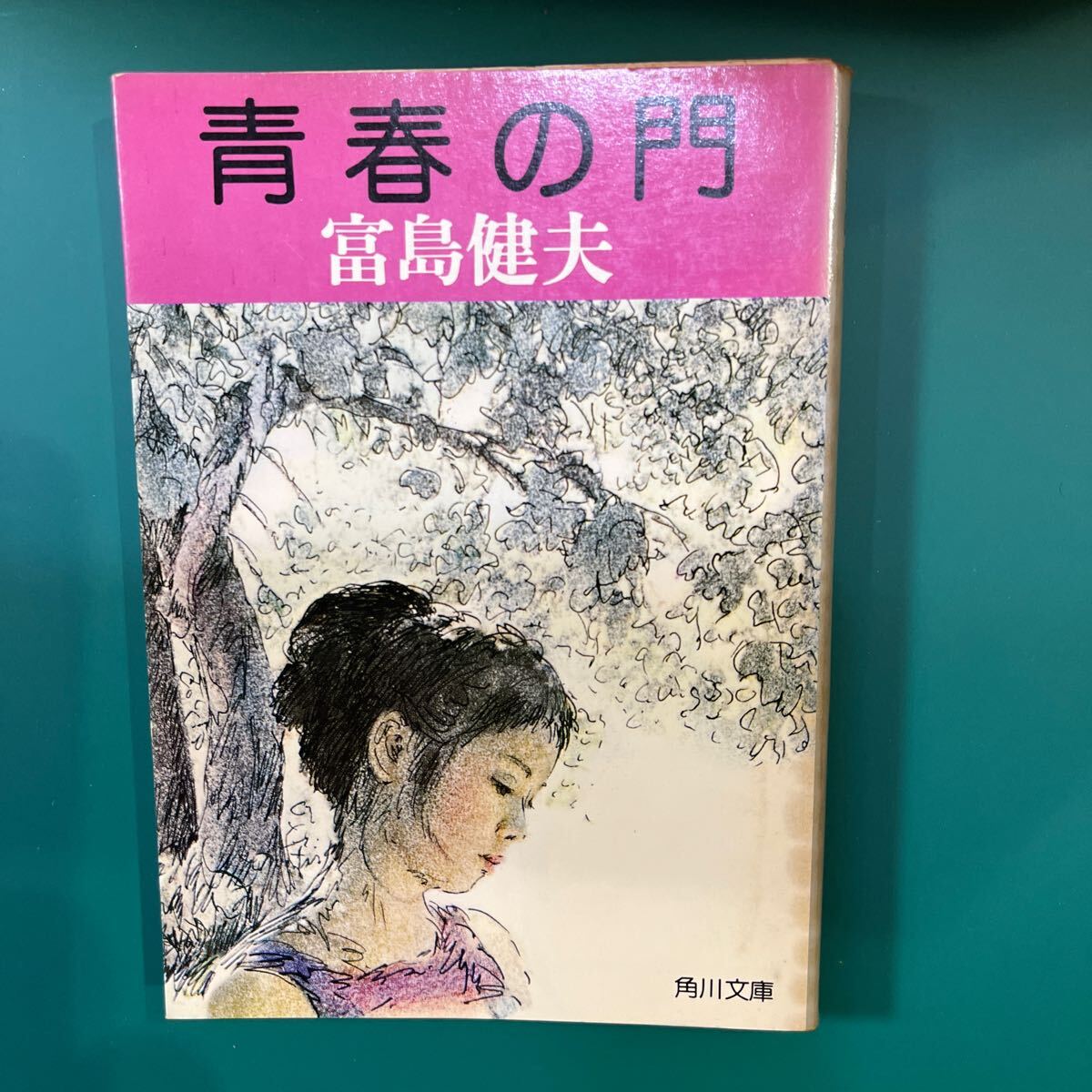 恋人と実験者と (広済堂文庫) (廣済堂文庫 と 3-2) | 富島 健夫