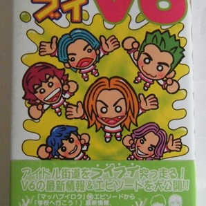■ブイブイV6■中古本