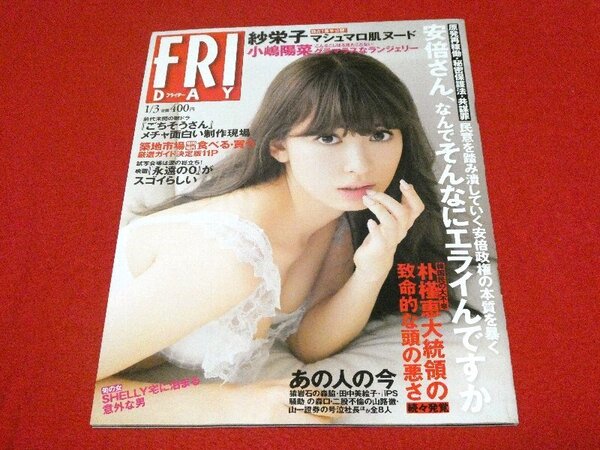 FRIDAY フライデー雑誌 2014 1/3 小嶋陽菜 紗綾 紗栄子 他