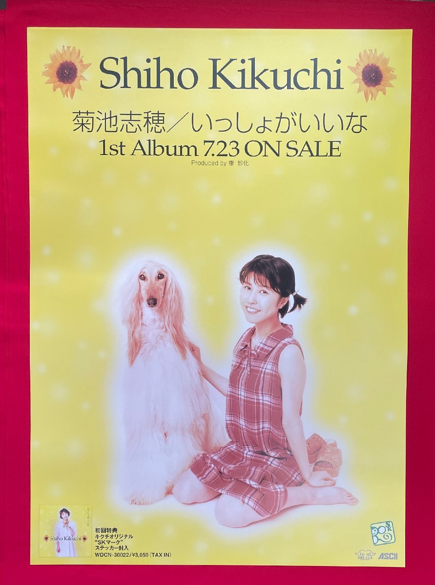 2025年最新】Yahoo!オークション -#菊池志穂(ポスター)の中古品 2025年最新】Yahoo!オークション -#菊池志穂(ポスター)の中古品
