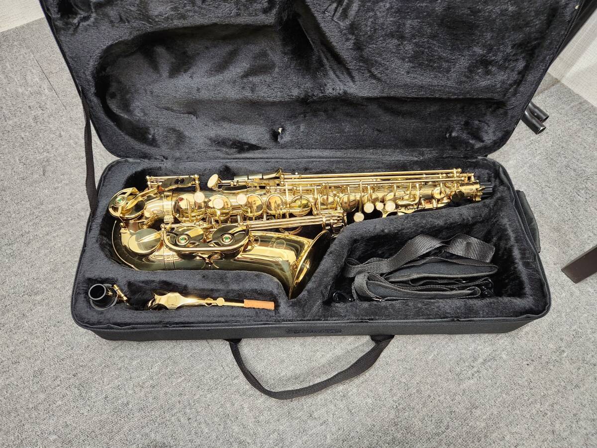 Yahoo!オークション -「selva セルバ」(サックス) (管楽器)の Yahoo!オークション -「selva セルバ」(サックス) (管楽器)の