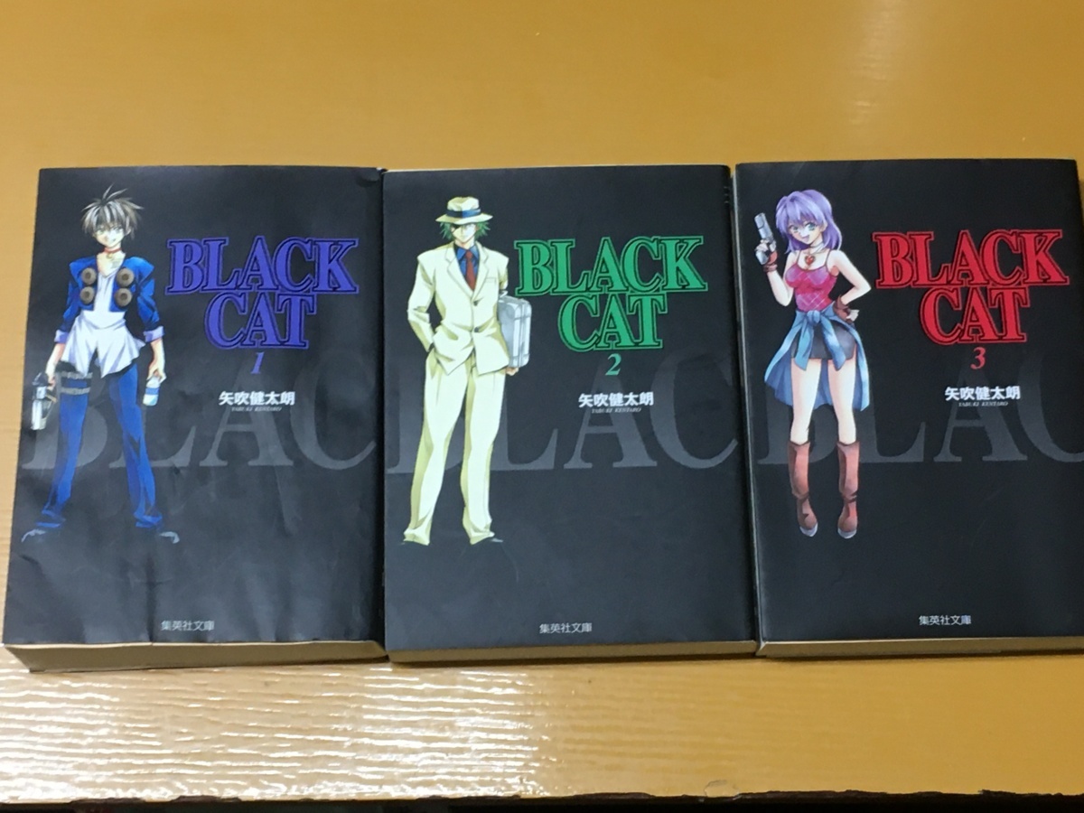 2025年最新】Yahoo!オークション -black cat ブラック キャット