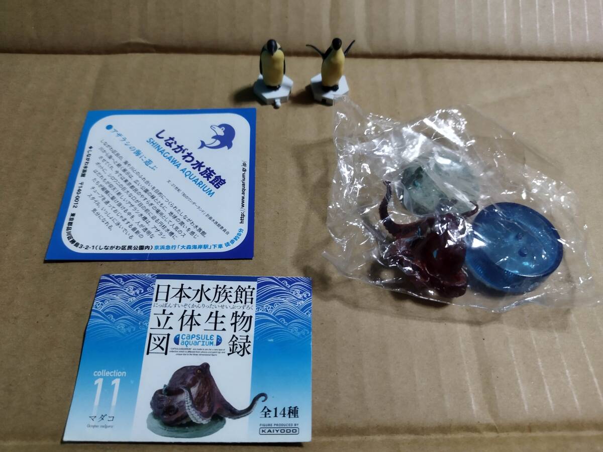 Yahoo!オークション -「日本水族館立体生物図録1」(おもちゃ Yahoo!オークション -「日本水族館立体生物図録1」(おもちゃ