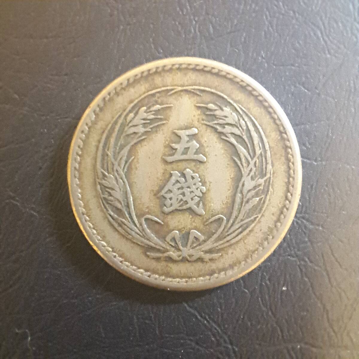 稲5銭白銅貨 明治36年 PCGS(MS64)