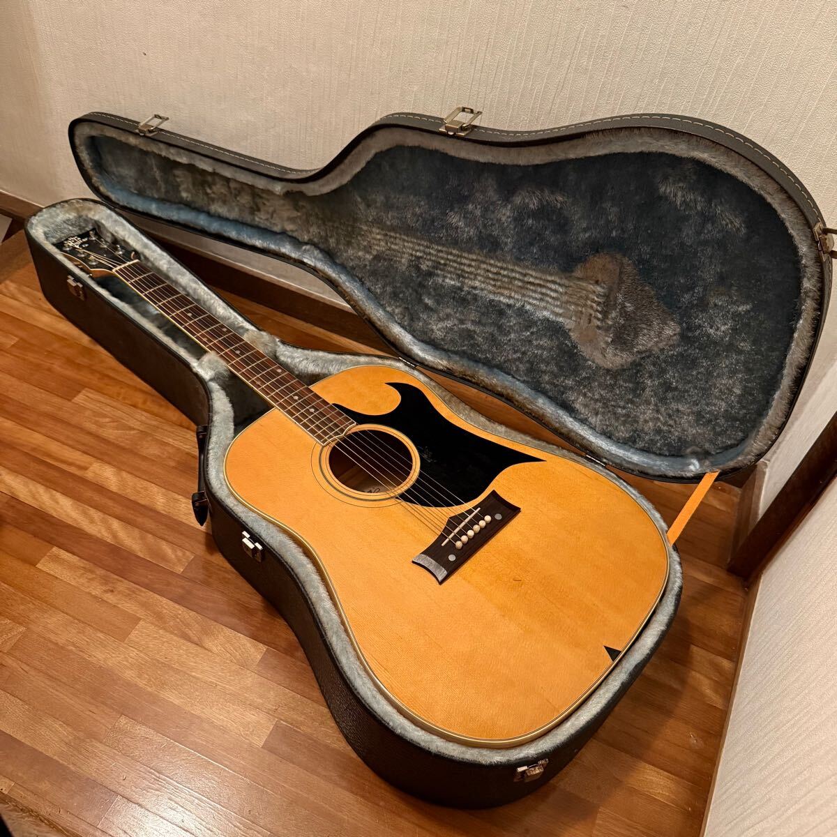 ☆Aria アコースティックギター Model W-180 Aria&Co. - メルカリ