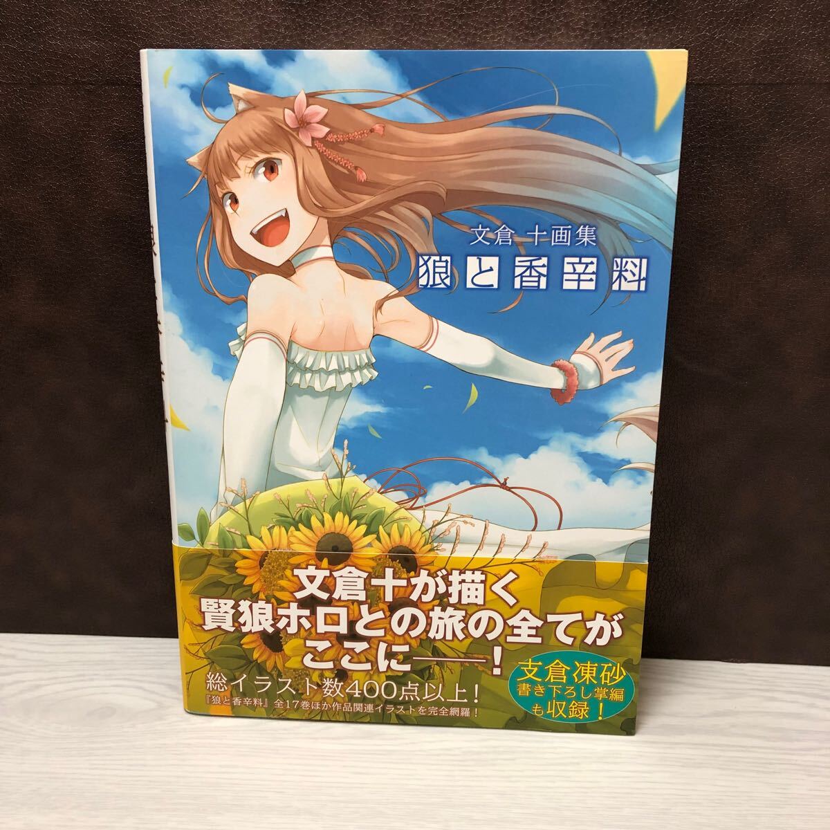 Yahoo!オークション -「狼と香辛料 文倉十画集」の落札相場 Yahoo!オークション -「狼と香辛料 文倉十画集」の落札相場
