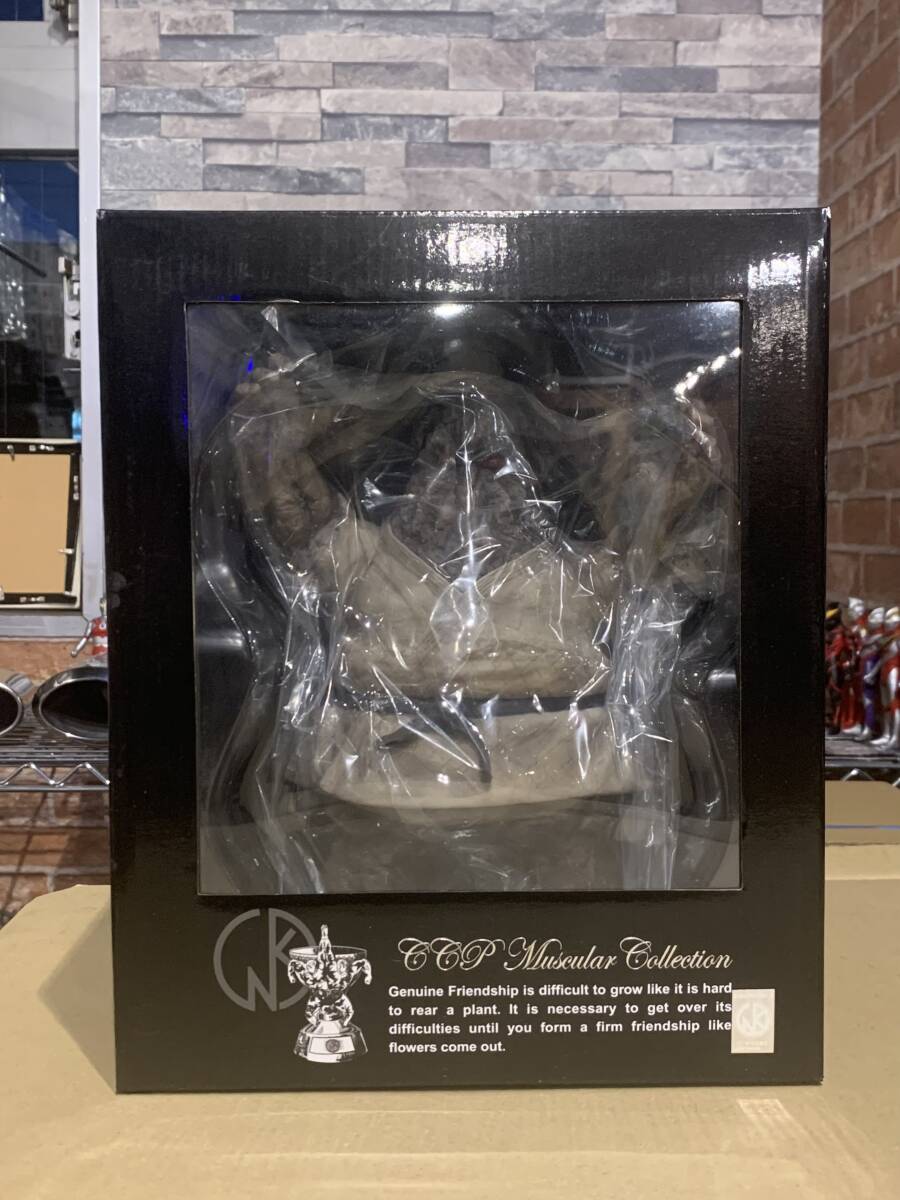 2025年最新】Yahoo!オークション -ccp マウンテンの中古品・新品 2025年最新】Yahoo!オークション -ccp マウンテンの中古品・新品