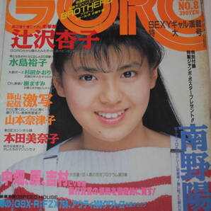 送料無料 GORO ゴロー 南野陽子 芸能人/女優/歌手/セクシー水着ビキニ本/昭和レトロ/当時物/アイドル雑誌/明星/平凡/週刊プレイボーイ