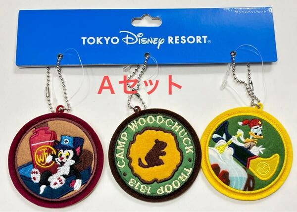 新品 未使用 ディズニーランド TDL キャンプ ウッドチャック CAMP WOODCHUCK オープン記念 ドナルド デイジー ワッペンバッジ Aセット